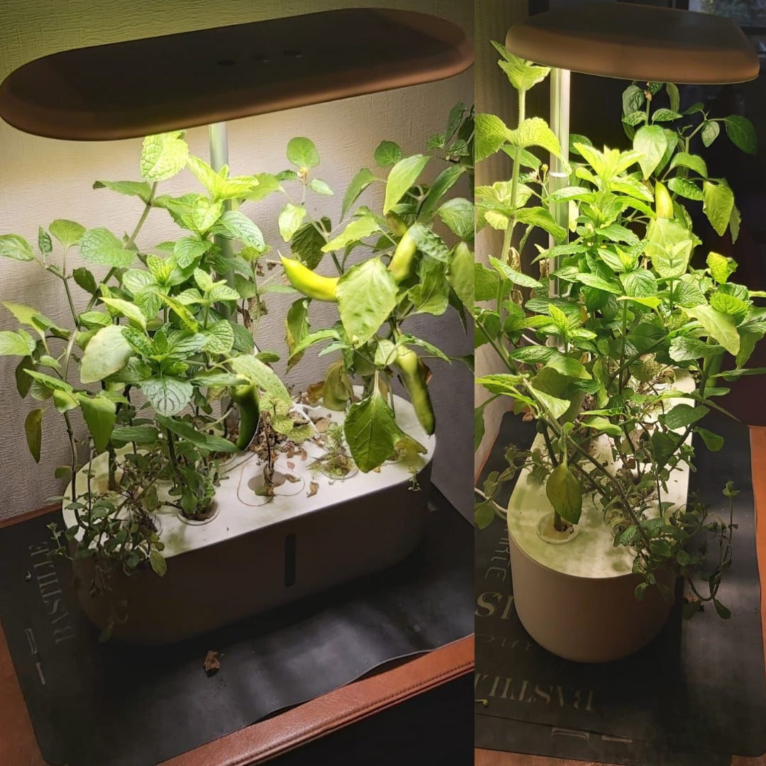 Sistema de cultivo hidropónico para interiores