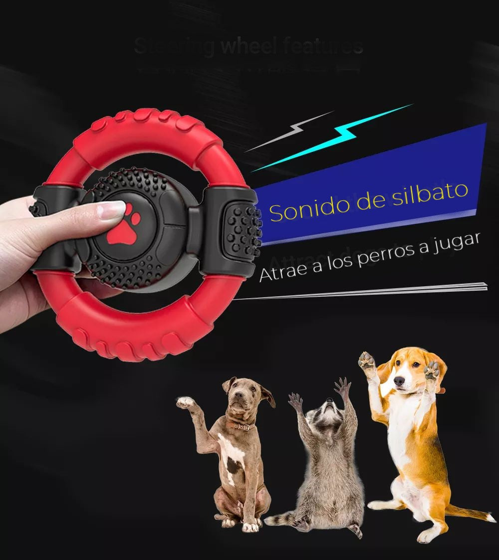 63485d620e3f760a3ab80ba1