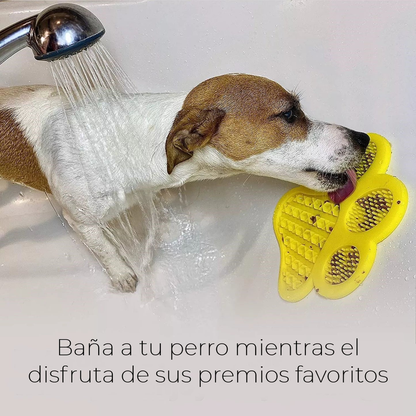 63495c41453d1e0a7b68e00f