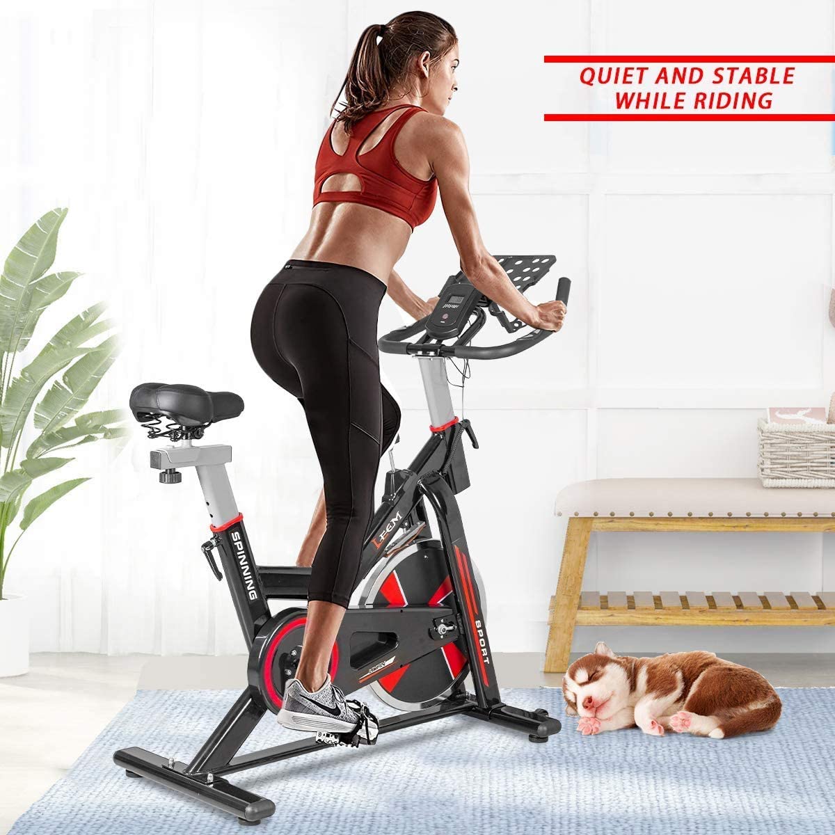  Bicicleta spinning 10 Kg